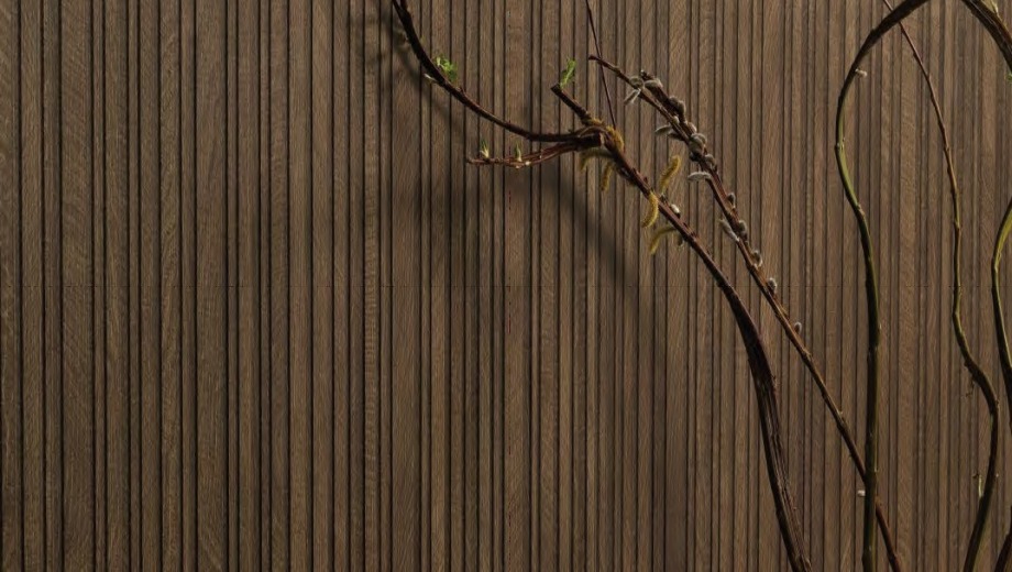 W-Circles plytelės (1)